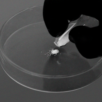 Nanosynt, material sintético de sustitución osea. FGM - Imagen 6