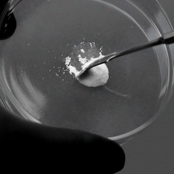 Nanosynt, material sintético de sustitución osea. FGM - Imagen 7