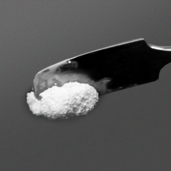 Nanosynt, material sintético de sustitución osea. FGM - Imagen 8